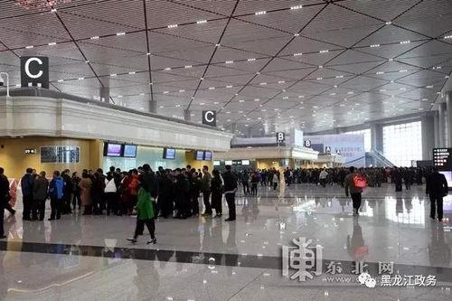 哈尔滨机场最新爆料,揭秘神秘扩建计划与未来展望  第1张