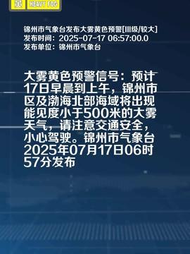 锦州今日爆料,揭秘城市热点事件背后的真相